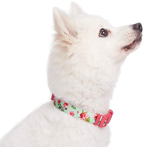Blueberry Pet 7 Patterns Spring Scent Inspired Floral Rose Print ...