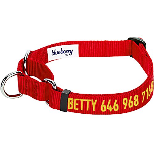 Blueberry Pet Essentials 21 Colors Personalized Safety Training M...