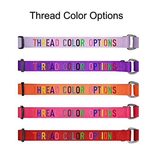 Blueberry Pet Essentials 21 Colors Personalized Safety Training M...