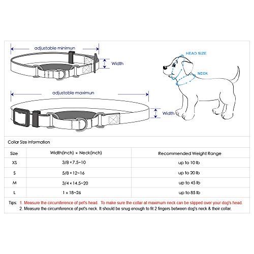 Blueberry Pet Essentials 21 Colors Personalized Safety Training M...