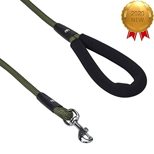 Blueberry Pet Essentials Better Basics Dog Rope Leash with Comfor...