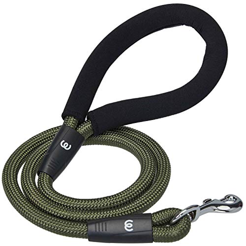 Blueberry Pet Essentials Better Basics Dog Rope Leash with Comfor...