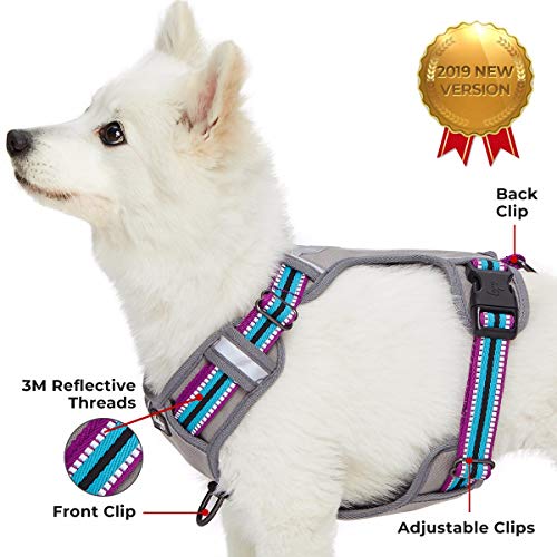 Blueberry Pet Soft & Comfy 3M Reflective Multi-Colored Stripe Mes...