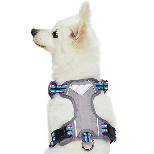 Blueberry Pet Soft & Comfy 3M Reflective Multi-Colored Stripe Mes...