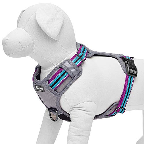 Blueberry Pet Soft & Comfy 3M Reflective Multi-Colored Stripe Mes...