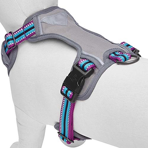 Blueberry Pet Soft & Comfy 3M Reflective Multi-Colored Stripe Mes...