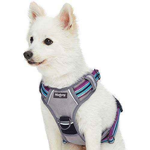 Blueberry Pet Soft & Comfy 3M Reflective Multi-Colored Stripe Mes...