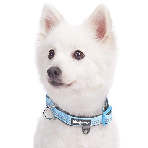 Blueberry Pet Soft & Safe 3M Reflective Neoprene Padded Adjustabl...