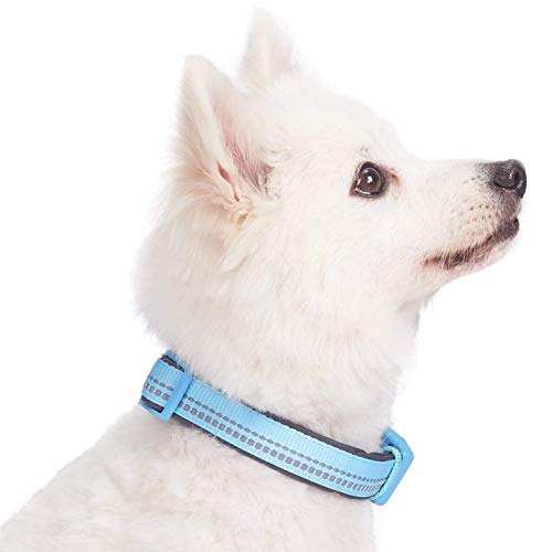 Blueberry Pet Soft & Safe 3M Reflective Neoprene Padded Adjustabl...