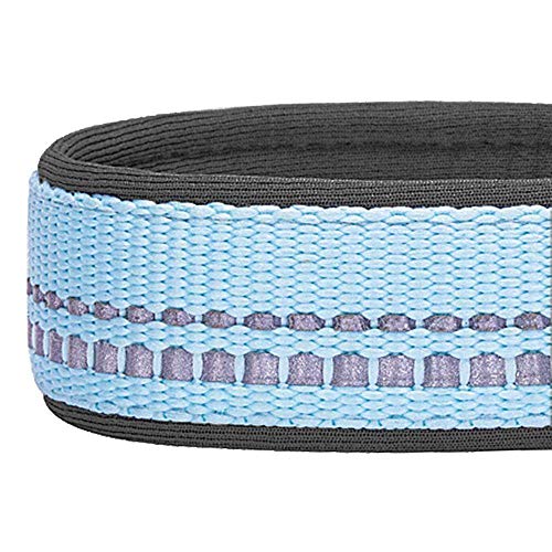 Blueberry Pet Soft & Safe 3M Reflective Neoprene Padded Adjustabl...