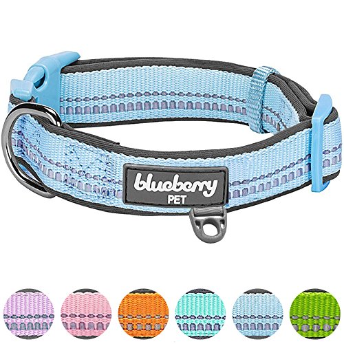 Blueberry Pet Soft & Safe 3M Reflective Neoprene Padded Adjustabl...