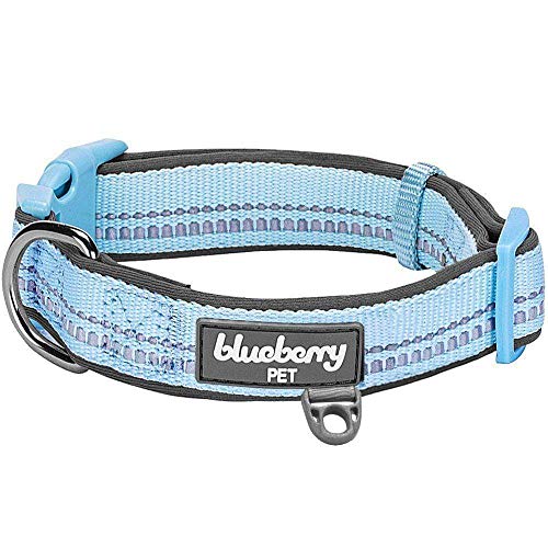 Blueberry Pet Soft & Safe 3M Reflective Neoprene Padded Adjustabl...