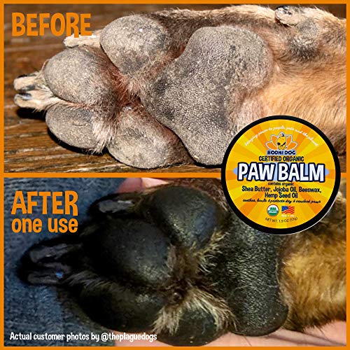 Organic Paw Balm for Dogs & Cats | All Natural Soothing & Healing...