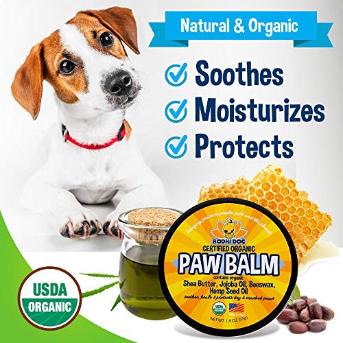 Organic Paw Balm for Dogs & Cats | All Natural Soothing & Healing...