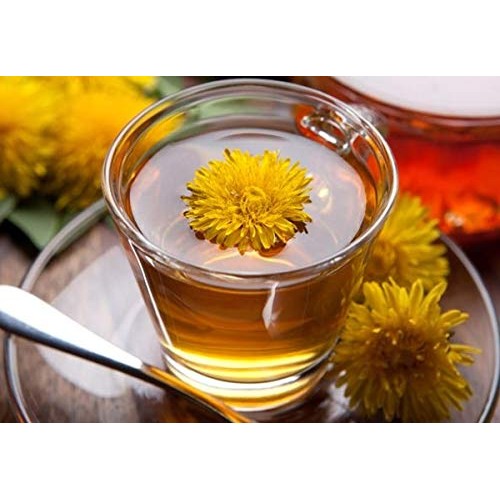 bodi : Dandelion Root Powder - 100% Pure Natural Chemical Free 4...