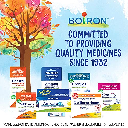 Boiron NauseaCalm Relief for Upset Stomach, Nausea, and Vomiting ...
