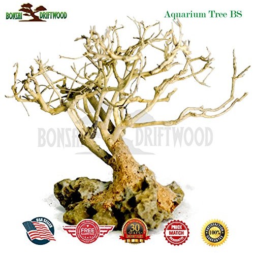 Bonsai Driftwood Aquarium Tree 5 Inch Height Natural, Handcraft...