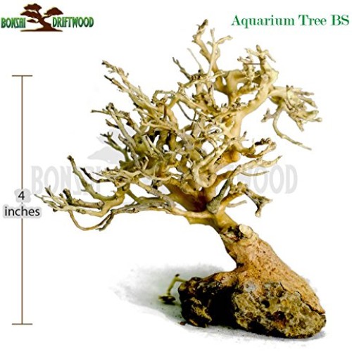 Bonsai Driftwood Aquarium Tree 5 Inch Height Natural, Handcraft...