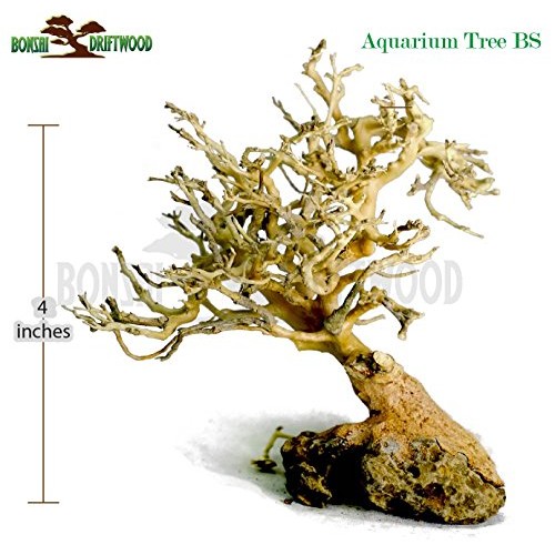 Bonsai Driftwood Aquarium Tree 5 Inch Height Natural, Handcraft...