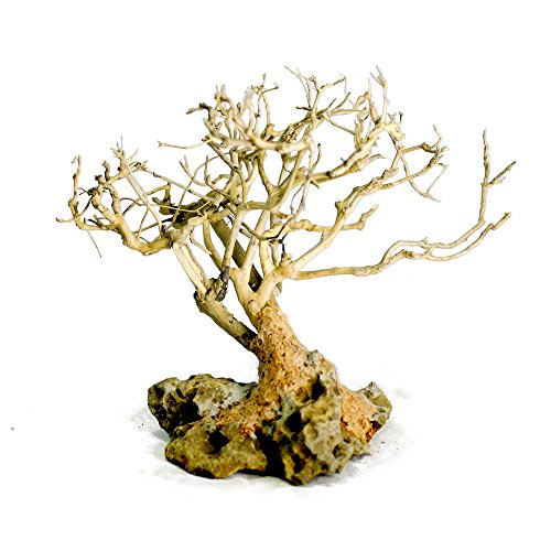 Bonsai Driftwood Aquarium Tree 5 Inch Height Natural, Handcraft...