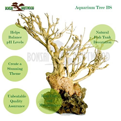 Bonsai Driftwood Aquarium Tree 5 Inch Height Natural, Handcraft...