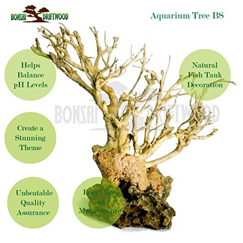 Bonsai Driftwood Aquarium Tree 5 Inch Height Natural, Handcraft...