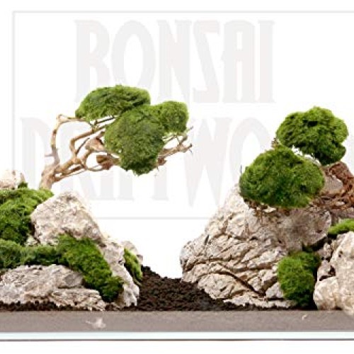 Bonsai Driftwood Aquarium Tree 5 Inch Height Natural, Handcraft...