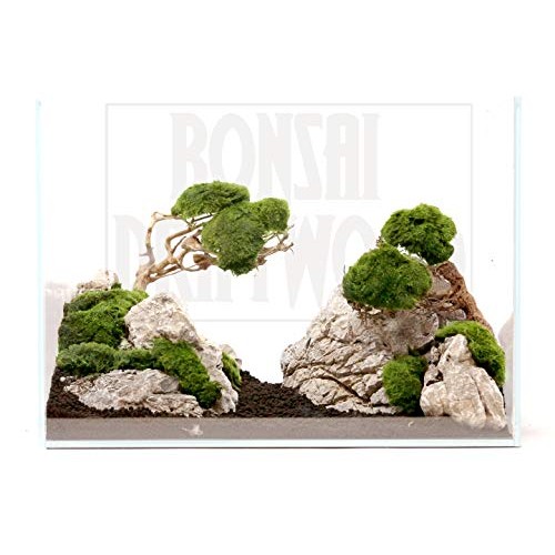Bonsai Driftwood Aquarium Tree 5 Inch Height Natural, Handcraft...