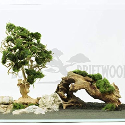 Bonsai Driftwood Aquarium Tree 5 Inch Height Natural, Handcraft...