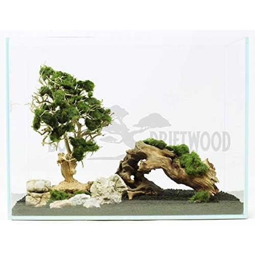 Bonsai Driftwood Aquarium Tree 5 Inch Height Natural, Handcraft...