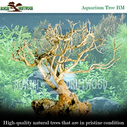 Bonsai Driftwood Aquarium Tree 5 Inch Height Natural, Handcraft...