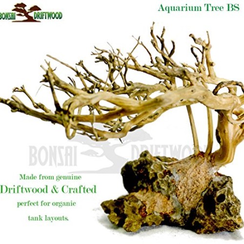 Bonsai Driftwood Aquarium Tree 5 Inch Height Natural, Handcraft...
