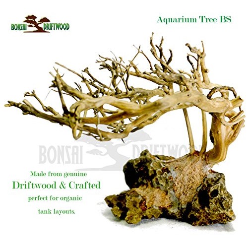 Bonsai Driftwood Aquarium Tree 5 Inch Height Natural, Handcraft...