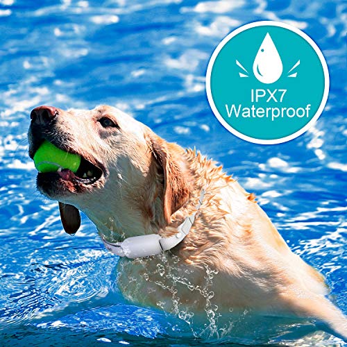 Bousnic Shock Collar for Dogs - Waterproof Rechargeable Dog Elect...