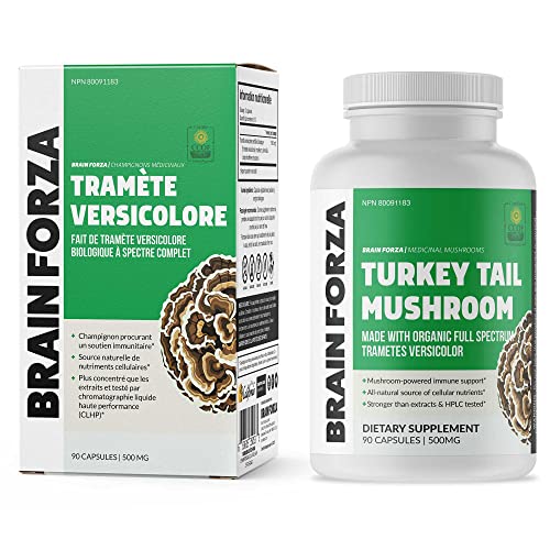 Brain Forza Organic Turkey Tail Mushroom Capsules, Mushroom Powde...