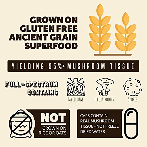 Brain Forza Organic Turkey Tail Mushroom Capsules, Mushroom Powde...