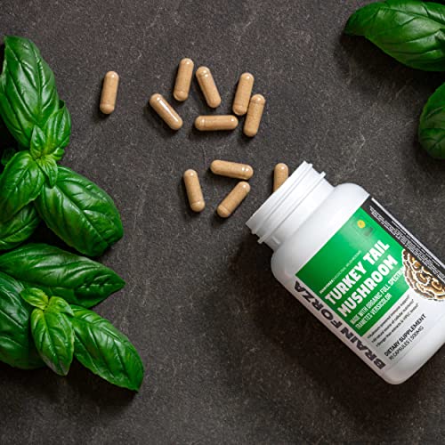 Brain Forza Organic Turkey Tail Mushroom Capsules, Mushroom Powde...