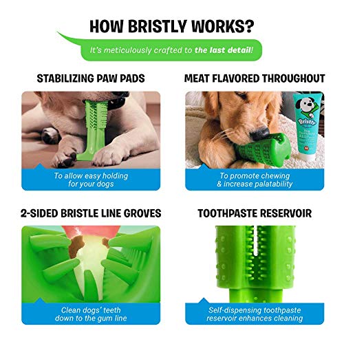 Bristly Dog Dental Care Kit - Pet Dental Care Including Medium Do...