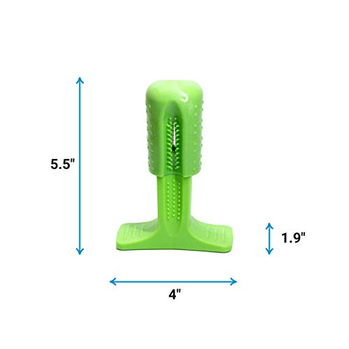 Bristly Dog Dental Care Kit - Pet Dental Care Including Medium Do...