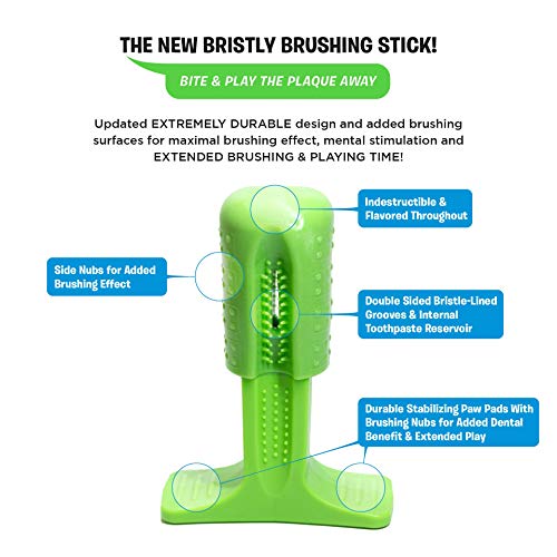 Bristly Dog Dental Care Kit - Pet Dental Care Including Medium Do...