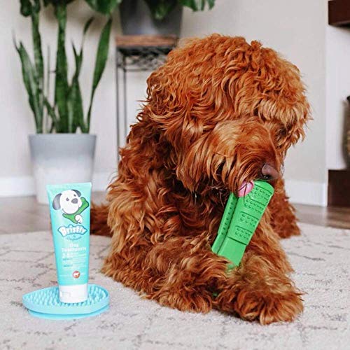 Bristly Dog Dental Care Kit - Pet Dental Care Including Medium Do...