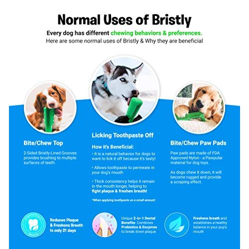 Bristly Dog Dental Care Kit - Pet Dental Care Including Medium Do...