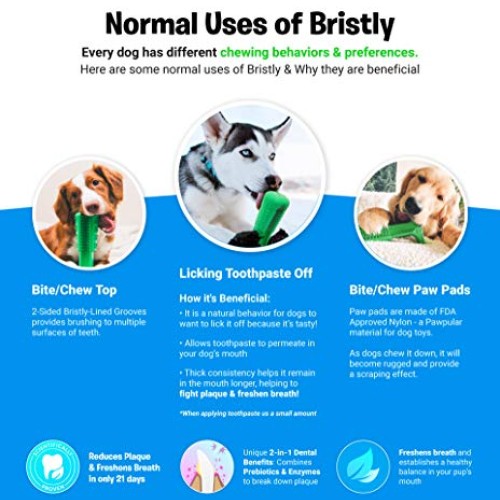 Bristly Dog Dental Care Kit - Pet Dental Care Including Medium Do...