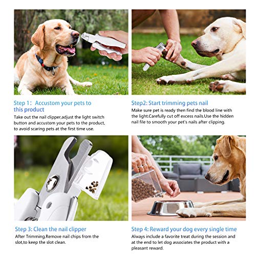 BRITUDE Pet Nail Clipper and Trimmer with Rechargeable LED Light ...