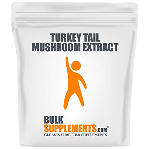 BulkSupplements.com Turkey Tail Mushroom Extract Powder - Immune ...
