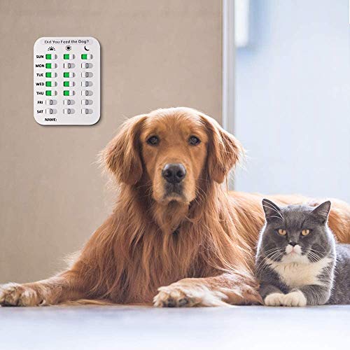 BuyB Dog Feeding Reminder Magnetic Reminder Sticker, 3 Times Dail...