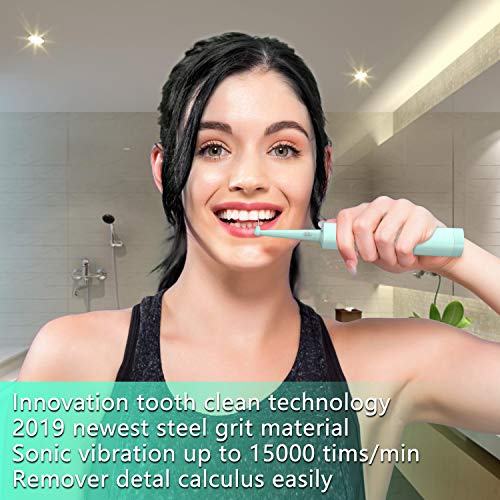 Electric Dental Calculus Remover, BWI Steel Grit Teeth Cleaning S...