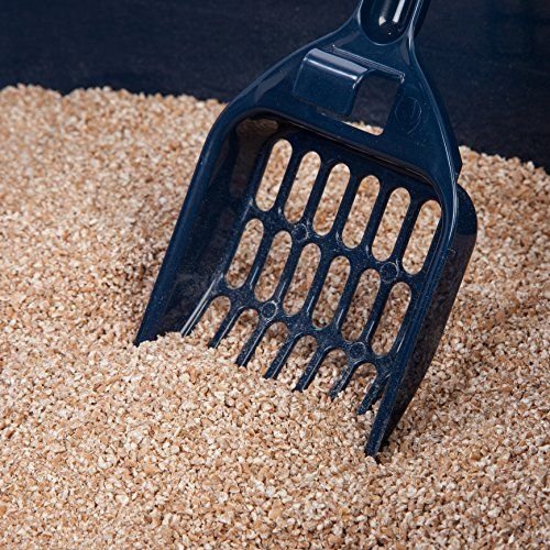 Calvinci - IRIS Open-Top Pet Cat Litter Box with Shield and Scoop...
