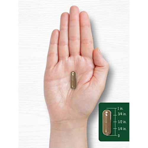 Carlyle Cats Claw Capsules 1000mg | 180 Count | Uncaria Tomentos...
