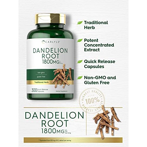 Carlyle Dandelion Root Capsules 1800mg | 300 Count | Non-GMO, Glu...